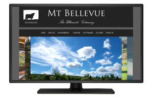 Portfolio-Image-Mt-Bellevue-Website